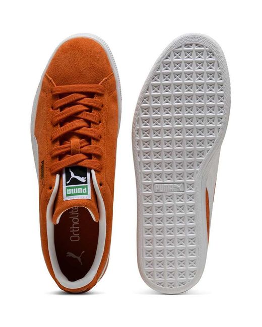 PUMA Brown Suede Classic Sneakers