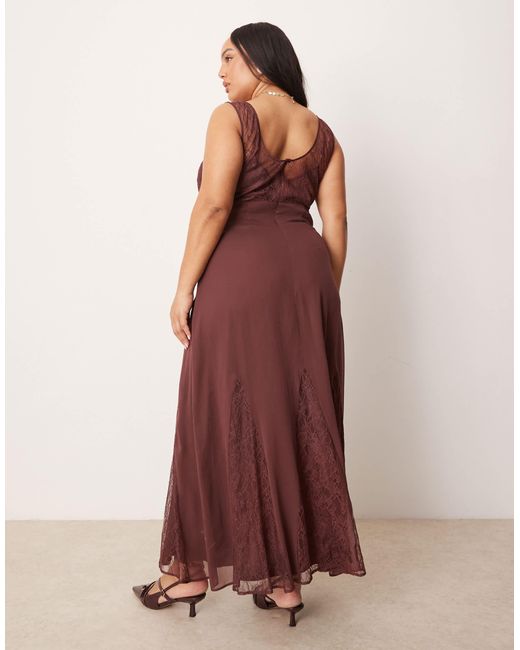 ASOS Brown Asos design curve – midikleid aus spitze und chiffon