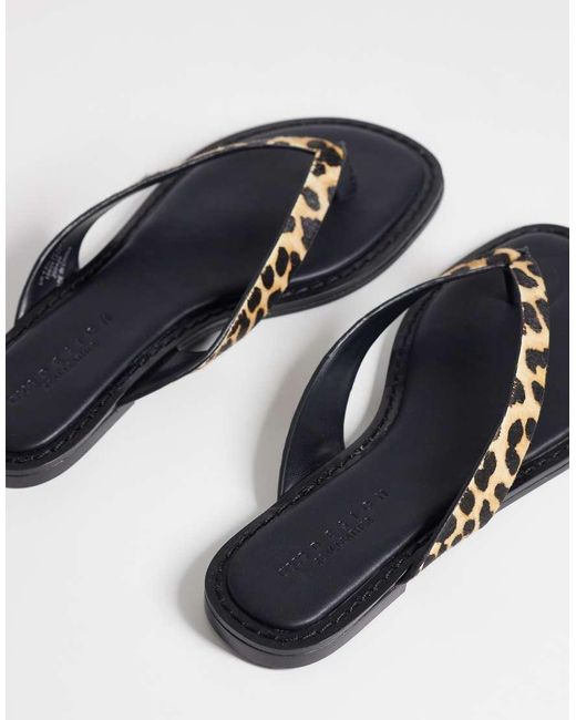 ASOS Blue Fenna Premium Leather Flip Flops
