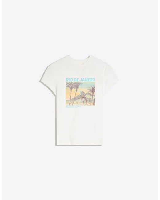 Bershka Black Fitted Printed T-shirt