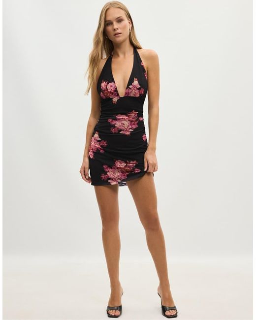 Stradivarius Black Floral Print Fitted Tulle Short Dress