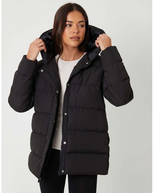 Threadbare Black Petite 'Hayley' Hooded Puffer Jacket