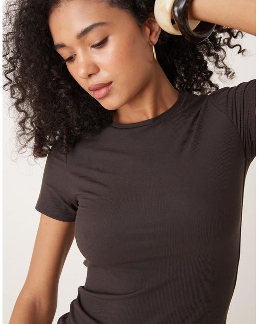 Tala Brown 365 Short Sleeve T-shirt Longer Length