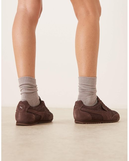 PUMA Brown – arizona python – sneaker