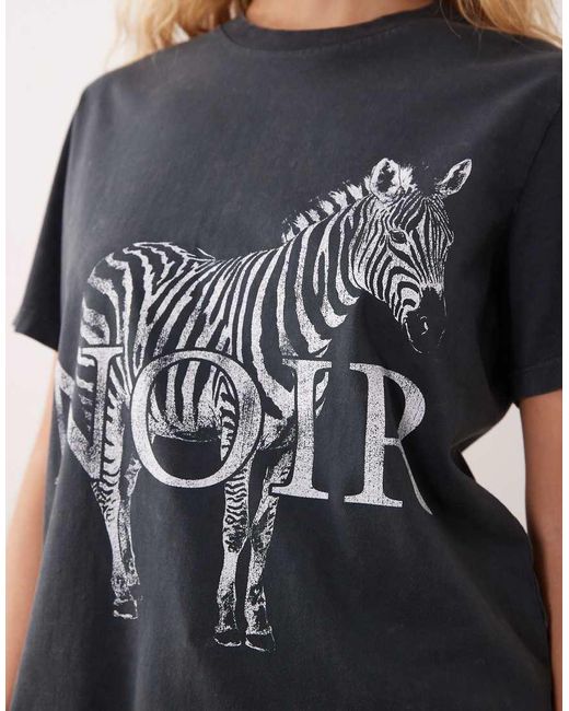 ASOS Multicolor Short Sleeve T-Shirt With Zebra Noir Graphic