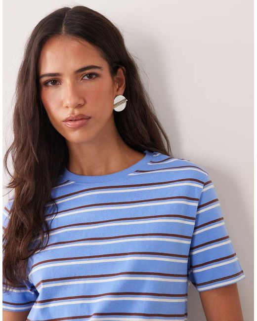 Mango Blue 100% Cotton T-shirt And And Brown Stripe