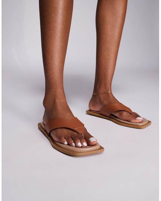 Steve Madden Brown Splash Thong Sandals