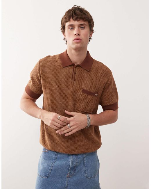 Dickies Brown Rocky Knit Polo for men