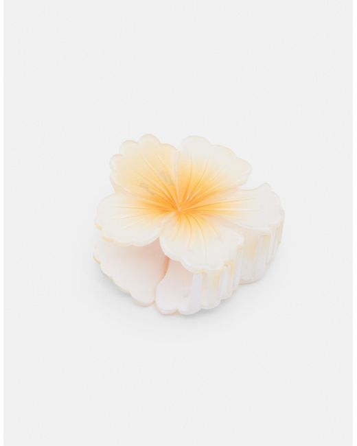 Pince à cheveux fleur Pull&Bear en coloris White