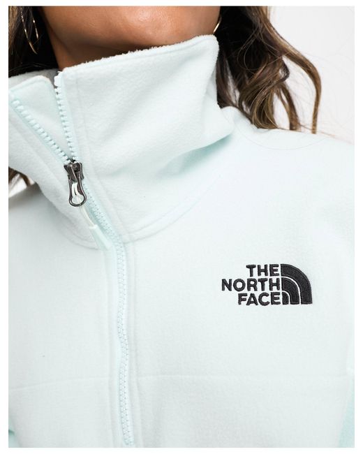 North face women's store glacier quarter zip fleece