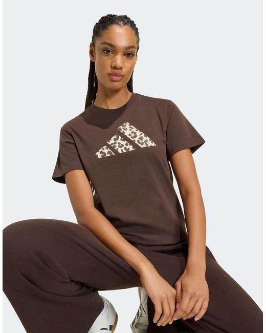 Adidas Originals Brown Animal Graphic T-shirt