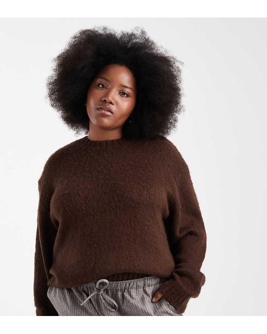 Renee Studio Plus in het Brown