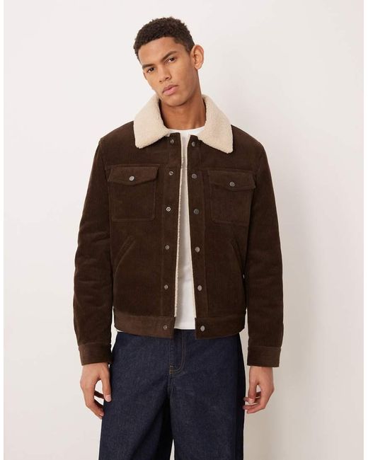 Mango Brown 100% Cotton Cord Jacket With Borg Collar for men