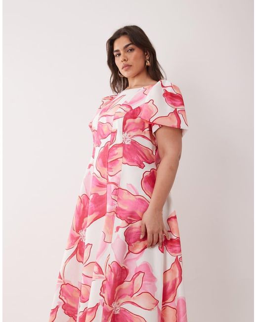 Forever New Pink Flutter Sleeve Midaxi Dress