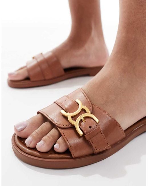 Dallaedar di ALDO in Brown