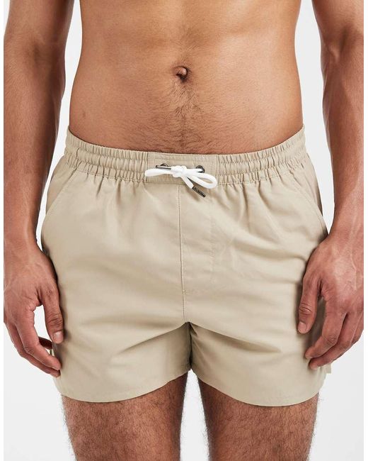 Aray Green Swim Shorts for men
