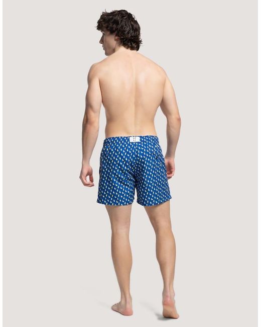 Apreslife Blue Puffins Swim Shorts for men