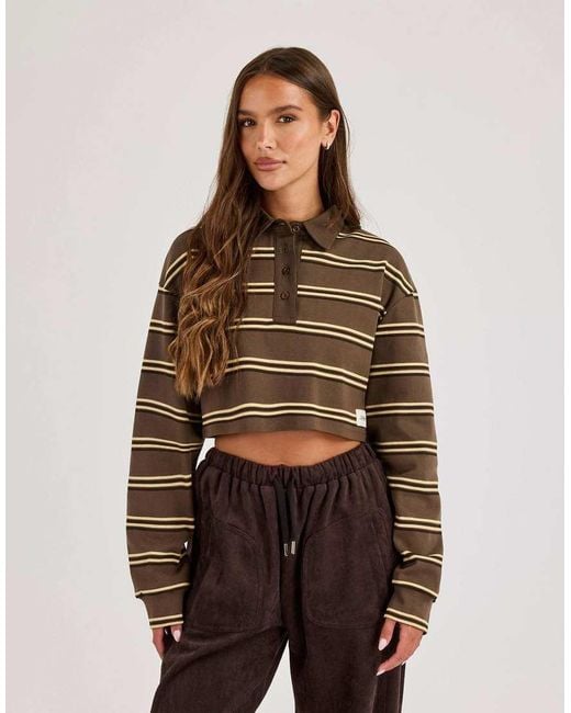 CERNUCCI Brown Striped Cropped Polo Top