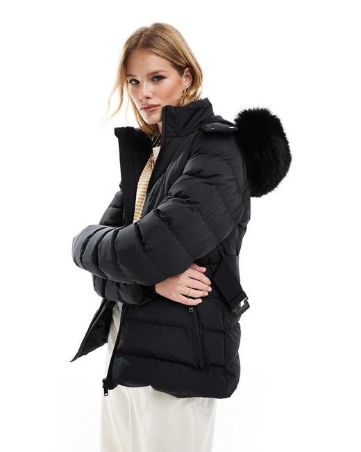Threadbare Ski-Jack Met Capuchon En Riem in het Black