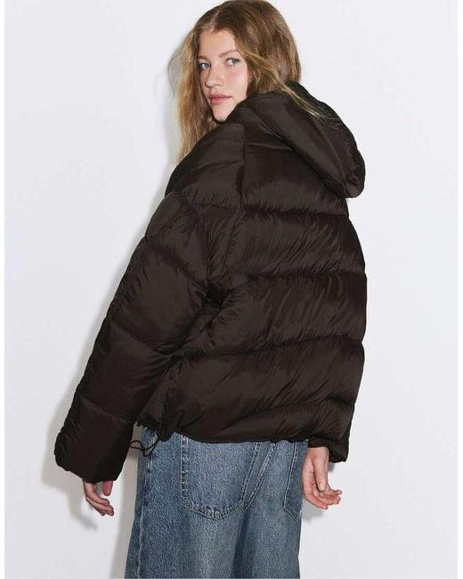 Stradivarius Blue Hooded Puffer Jacket