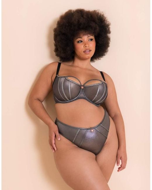 Curvy Kate Brown Scantilly Eos Thong Fuller Bust