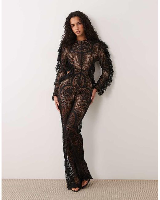 The Dolls House Black Kiah Premium Lace Cut Out Open Back Flared Jumpsuit