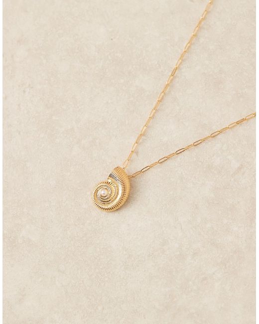 Orelia Vergulde Statement Ketting Met Schelp En Parel in het Brown