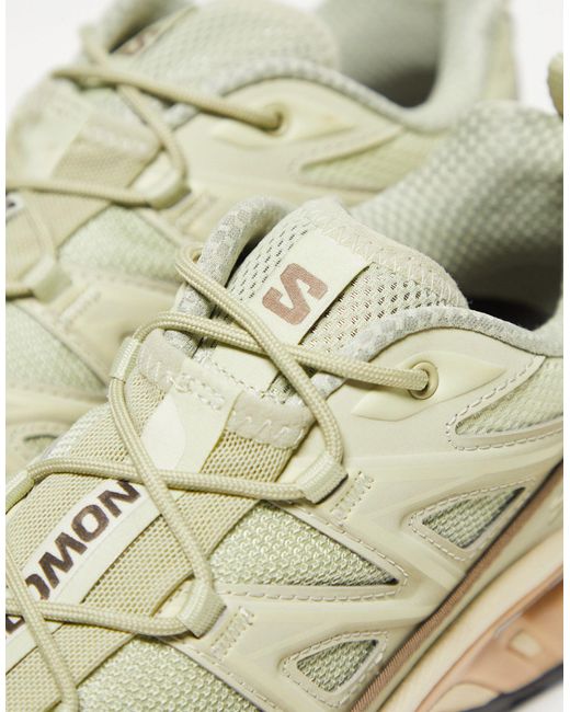 Xt-6 expanse - sneakers color alfalfa di Salomon in Natural