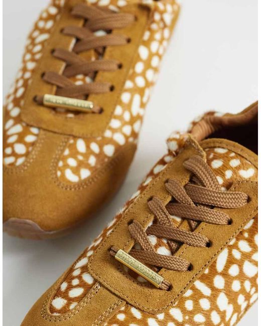 Steve Madden Brown Bobby Trainers