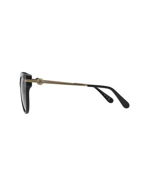 Ted Baker Brown Layla Sunglasses