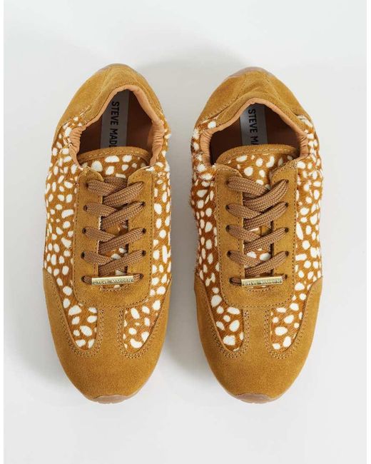 Steve Madden Brown Bobby Trainers