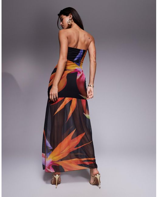 Kaiia Black Exclusive Double Layered Slinky Mesh Floral Bandeau Gathered Sheer Hem Maxi Dress