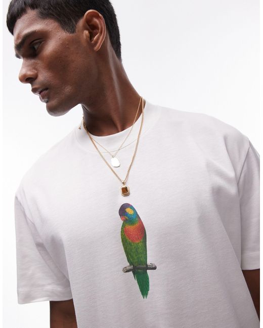 Topman Gray Premium Oversized Fit T-shirt With Parrakeet Print for men