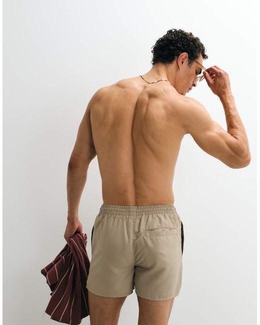 Aray Brown Swimshorts With Contrast Trim for men