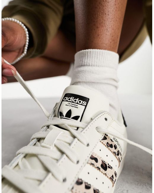 Superstar - sneakers sporco leopardato di Adidas Originals in White