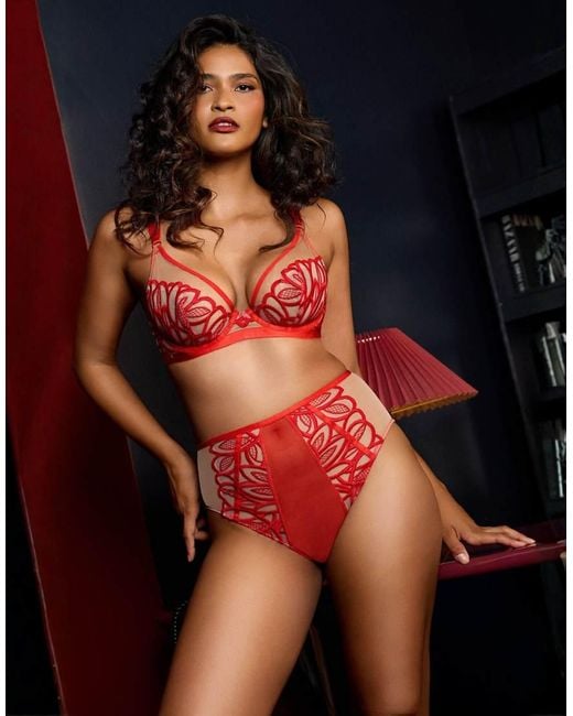 Playful Promises Red Lilith Graphic Embroidery Bra
