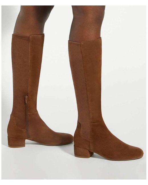 Dune Brown Tayla Knee High Boots