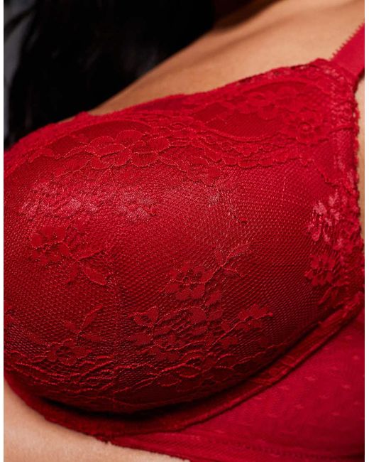 ASOS Red Asos Design Curve Lola Lace Push Up Bra