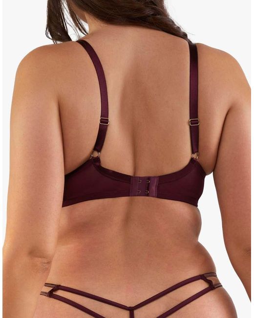 Playful Promises Brown Ramona Plunge Bra