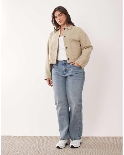 ASOS Natural Asos Design Curve Short Cotton Harrington Jacket