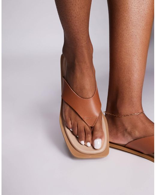 Steve Madden Brown Splash Thong Sandals