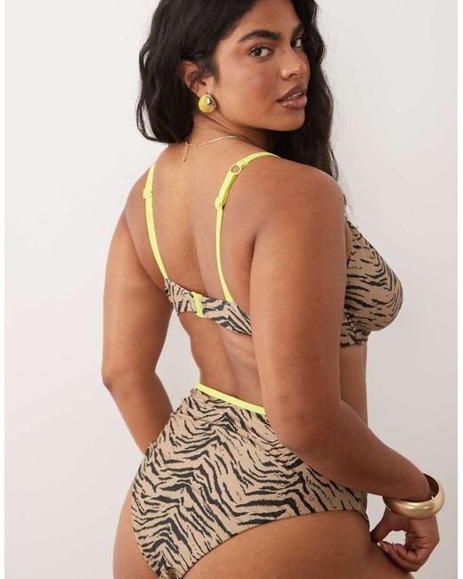 ASOS Brown Asos Design Curve Zaria Marina Del Ray Underwired Bikini Top With Contrast
