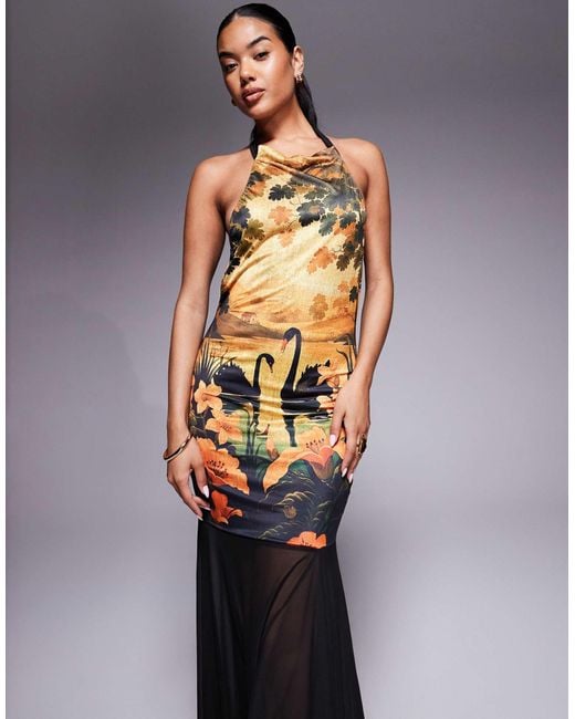 ASOS Multicolor Printed Mesh Highneck Halter Maxi Dress With Sheer Skirt
