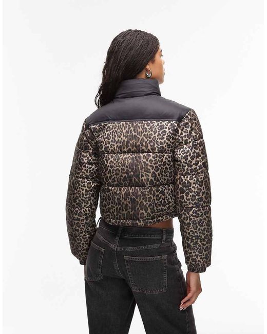 Tommy Hilfiger Black Cropped Puffer Jacket