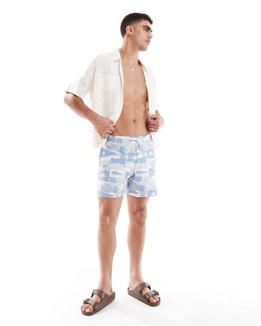 Hollister Blue Printed Seaclub Collage Swimwear Shorts for men