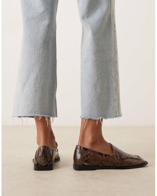 Raid Brown – neely – loafer