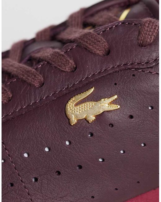 Lacoste Purple Club-low Gumsole Gold Accent Trainer