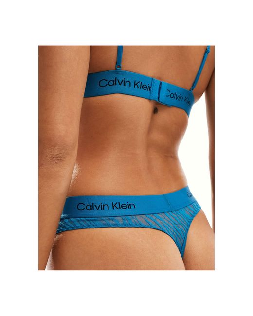 Calvin Klein Blue Ck96 Animal Lace Modern Lingerie Thong