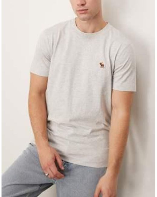 Abercrombie & Fitch Gray 5 Pack Icon Logo T-shirt for men