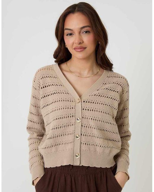 Threadbare Brown Pointelle Knit V-Neck Cardigan
